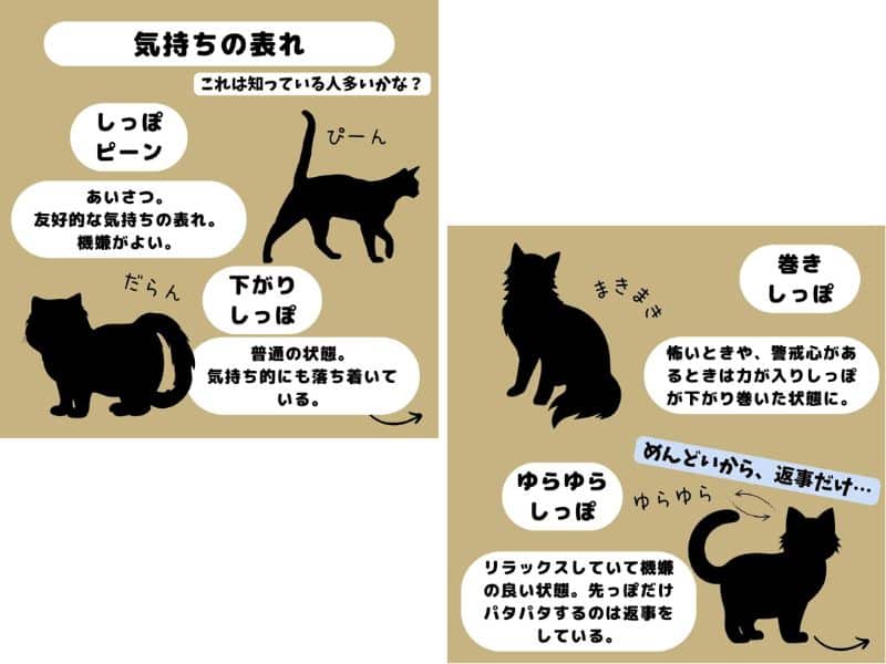 猫のしっぽがピンと立っている時は「ご機嫌」
水平や下がり気味の時は平常心の時
の
画像