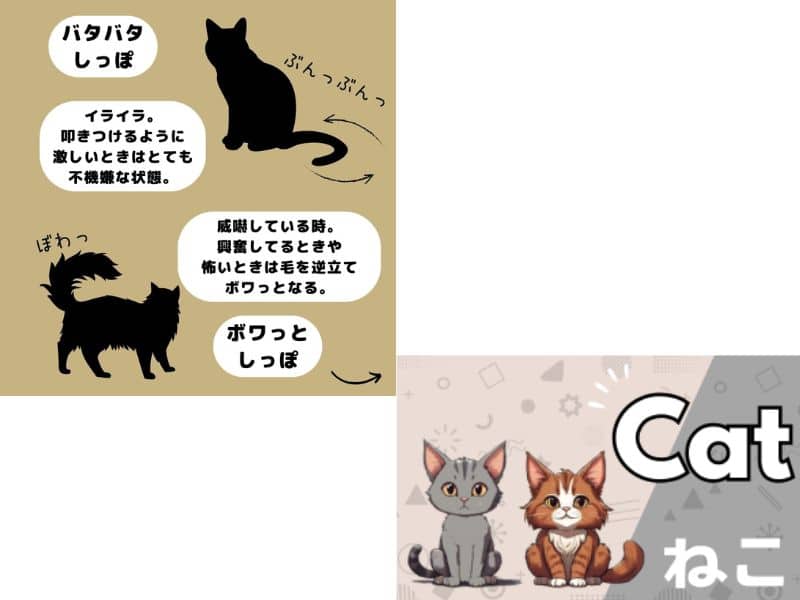 猫がしっぽをバタバタと床に打ちつける時はイライラ
ボワっと膨らんでいる時は威嚇や興奮・怖い気持ちの表れの画像