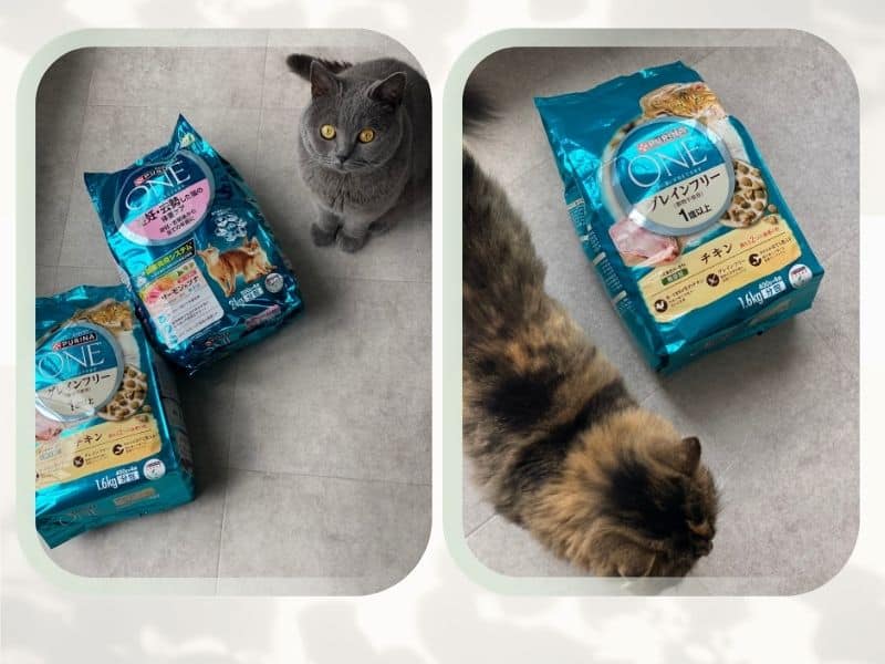 キャットフード、ピュリナワンの画像